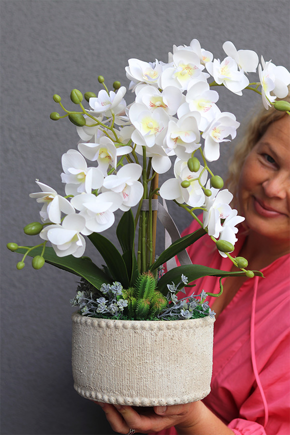 Kulena 2, gumowy storczyk w etno donicy