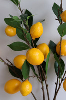 Lemon, gałązka sztuczna roślina cytryna