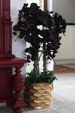 Aubergine Black, sztuczny storczyk w złotej donicy, wys.108cm 