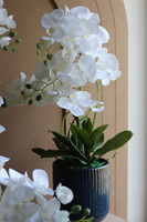  Deep Blue , sztuczny storczyk w granatowej donicy