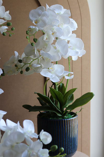  Deep Blue , sztuczny storczyk w granatowej donicy