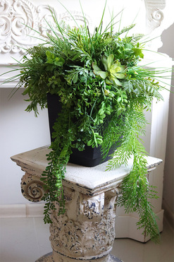 OD RĘKI Green Dekorina, kompozycja sukulenty w donicy, wym.57x50cm 