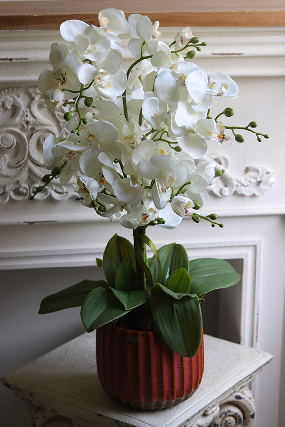 Bedania Etnica, sztuczny storczyk w metalowej osłonce