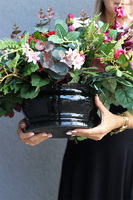 Bordita, kompozycja nagrobna w misie