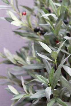 Oliwka New, sztuczne drzewko w osłonce, wym.170cm