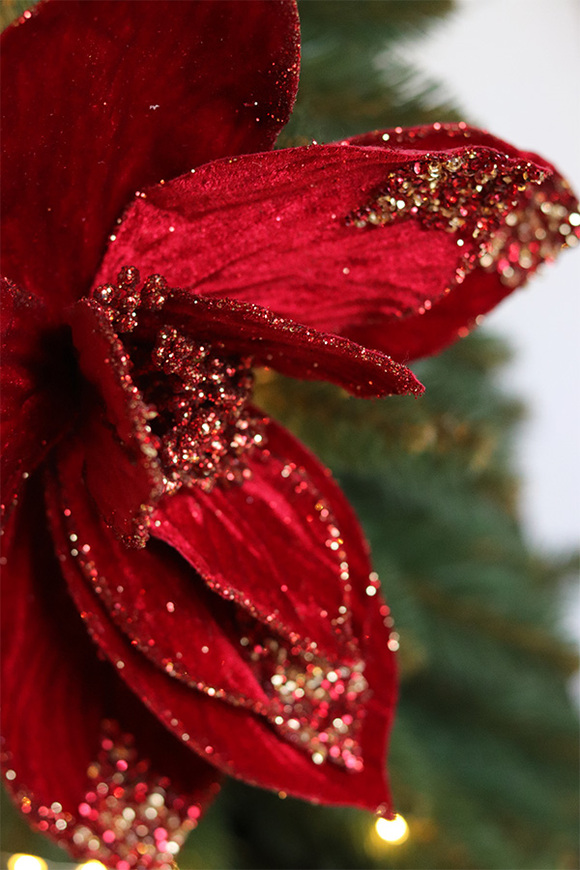 Gwiazda Betlejemska, świąteczny kwiat poinsecji z klipsem, czerwona