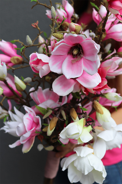 bukiet różowych kwiatów, Magnolie