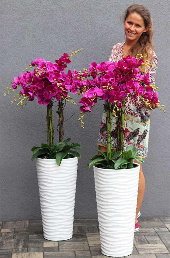 Gizelle Fuksja, wysoki sztuczny storczyk w białej donicy
