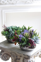 Maria Jalote, kompozycja sukulenty w lustrzanej donicy