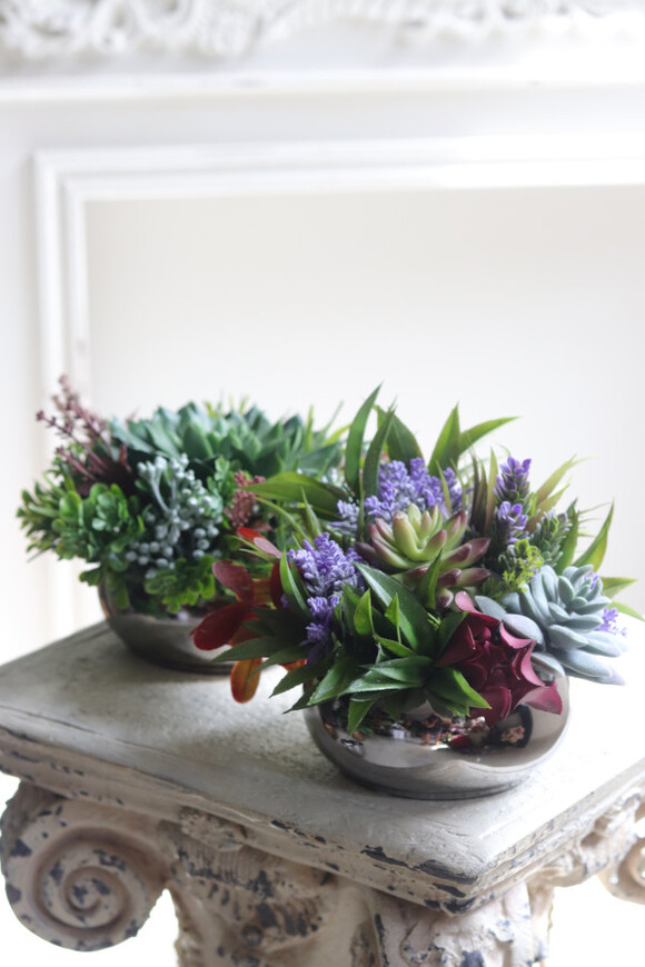 Maria Jalote, kompozycja sukulenty w lustrzanej donicy