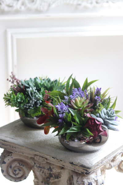 Maria Jalote, kompozycja sukulenty w lustrzanej donicy