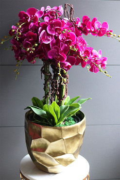 Fuksja Gold Palace, sztuczny storczyk w złotej donicy, wys.90cm 