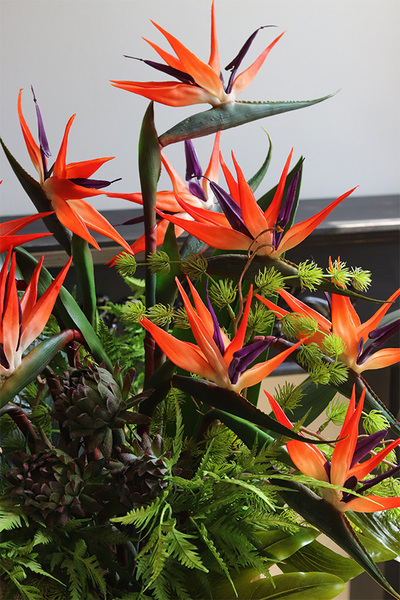 Gold Princera Strelicja 2, kompozycja w złotej donicy