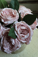 beżowy welurowy flowerbox z piwoniami, Severna Romantic, wys.24cm