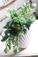 Antylla Shell, kompozycja sukulenty w białej muszli, wym.26x35cm