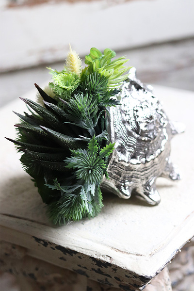 elegancka muszla z sukulentami, Morska Fala, wym.15x18x16cm 