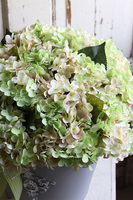 hortensje w metalowym naczyniu, Miledy Nesta, wym.44x40cm