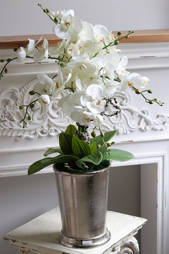 OD RĘKI Cooler Old Times, ekskluzywny storczyk w coolerze, wys.75cm  