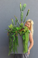 Cacti Grey Fiberglass 2, sukulenty ze kaktusem w szarej donicy