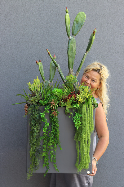 Cacti Grey Fiberglass 2, sukulenty ze kaktusem w szarej donicy