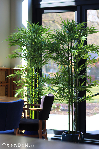 Bambus Ares, sztuczna roślina w donicy