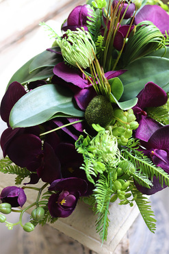 Dekoriada Purple, sztuczny storczyk w czarnej misie, wym.30x51cm