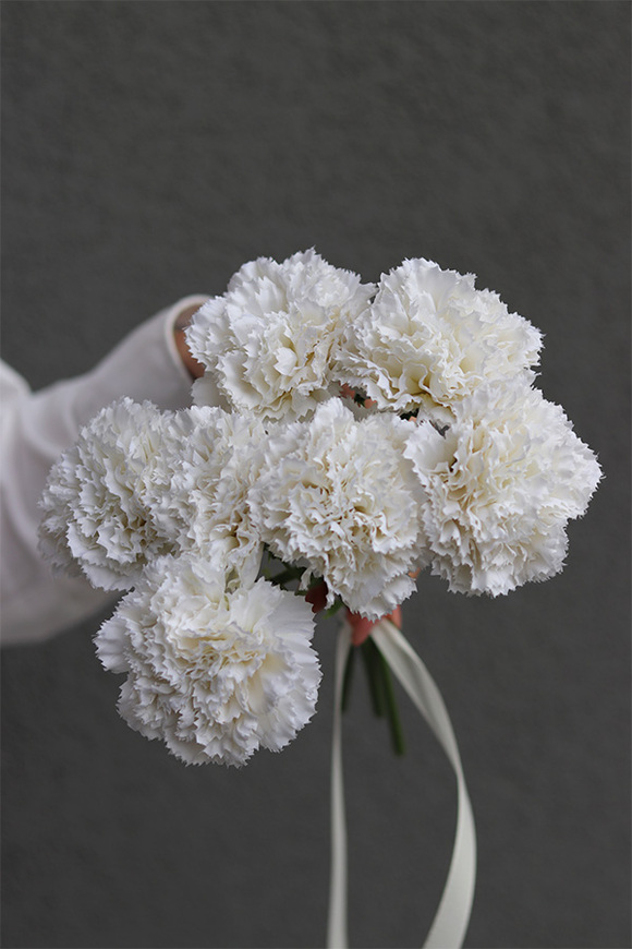 Cloves, bukiet kwiatów goździki