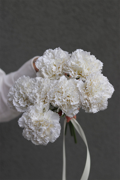 Cloves, bukiet kwiatów goździki