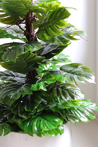 Monstera Walter, drzewko sztuczne w donicy fiberglass