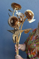 Słoneczniki Gold, złote słoneczniki sztuczne