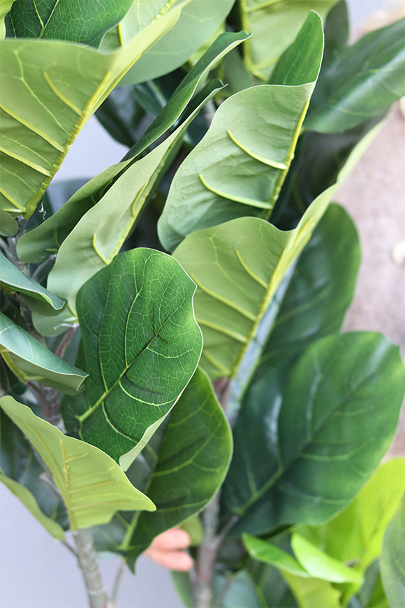 Fikus Dębolistny Walter Grey, sztuczna roślina w donicy fiberglass