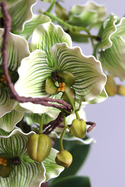 Pistacio, zielony sztuczny storczyk w ozdobnej donicy