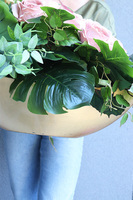 Bliskość Cappuccino Goldi, kompozycja nagrobna w naczyniu łódce