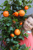 Olimpia Pomarańcze, zielona girlanda dekoracyjna z owocami