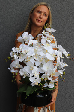 Black & White, wysokiej jakości sztuczny storczyk, wys.60cm 