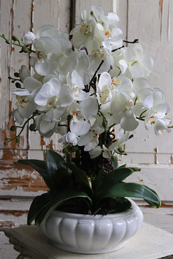 White Pearl Carrington, wysokiej jakości sztuczny storczyk, wys.62cm