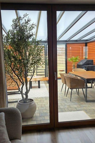 Oliwka Premium XXL, sztuczna roślina drzewko oliwne