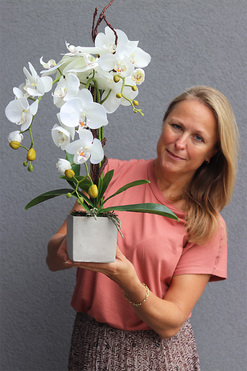 filigranowy storczyk Betonna, wys.60cm 