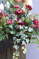 Astry Bordoste, kompozycja nagrobna w naczyniu