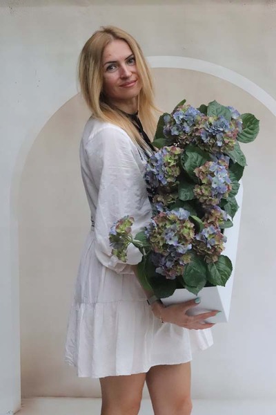 Summer Balcony Blue, niebieskie hortensje w skrzynce balkonowej