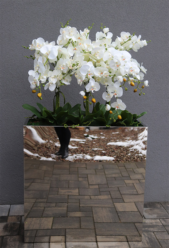 Steel, podłogowy storczyk w stalowej donicy