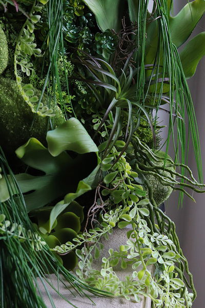 Green Hotels Eureka, czarna jednostronna rama sukulenty