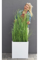 Fiberglass Marco Hazel, sztuczne trawy w białej donicy