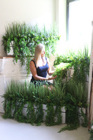 Agneso Greenoso, kompozycja we wkładzie do Twojej donicy