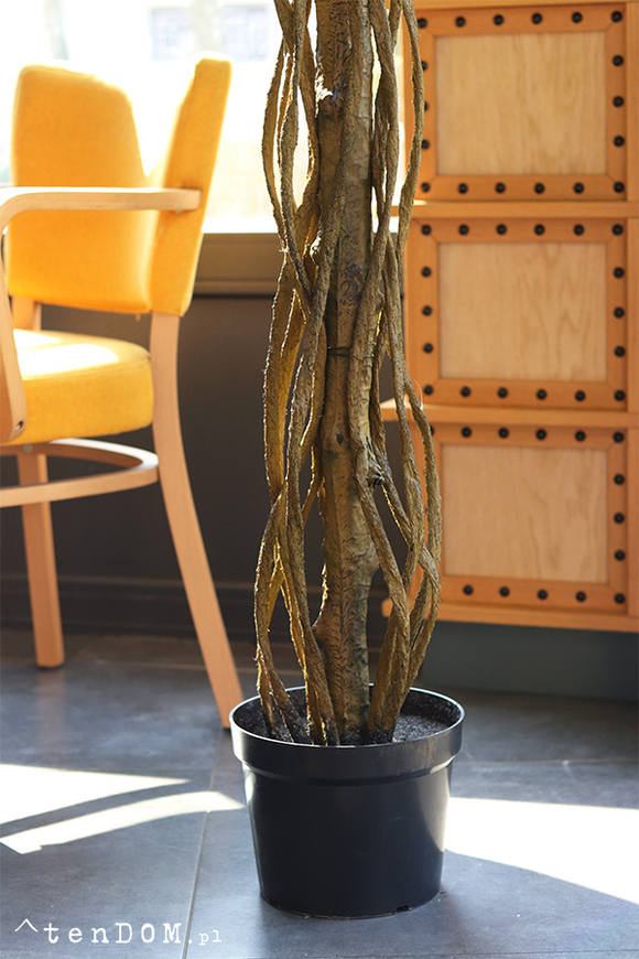 Fikus Benjamin G, sztuczna roślina w doniczce