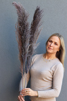 Pampasy Violet Long, bukiet suszonych traw, 3szt, wys.125cm