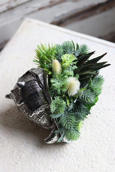 elegancka muszla z sukulentami, Morska Fala, wym.15x18x16cm 