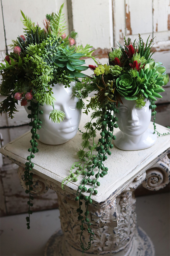 efektowna kompozycja sukulenty w głowie, Big Crazy Head, wys.37cm