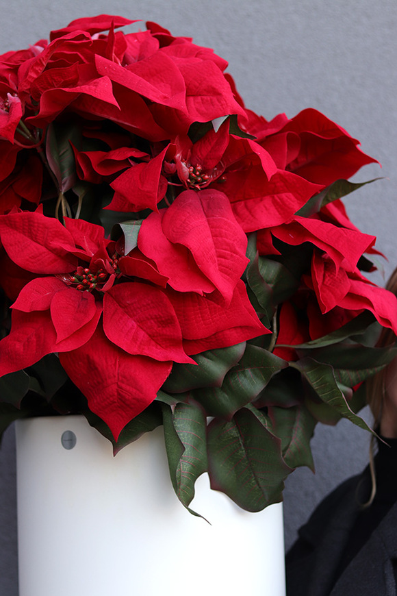 Gwiazda Betlejemska Celine, wysokiej jakości sztuczna roślina XL	