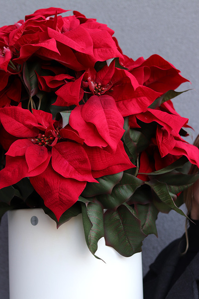 Gwiazda Betlejemska Celine, wysokiej jakości sztuczna roślina XL	